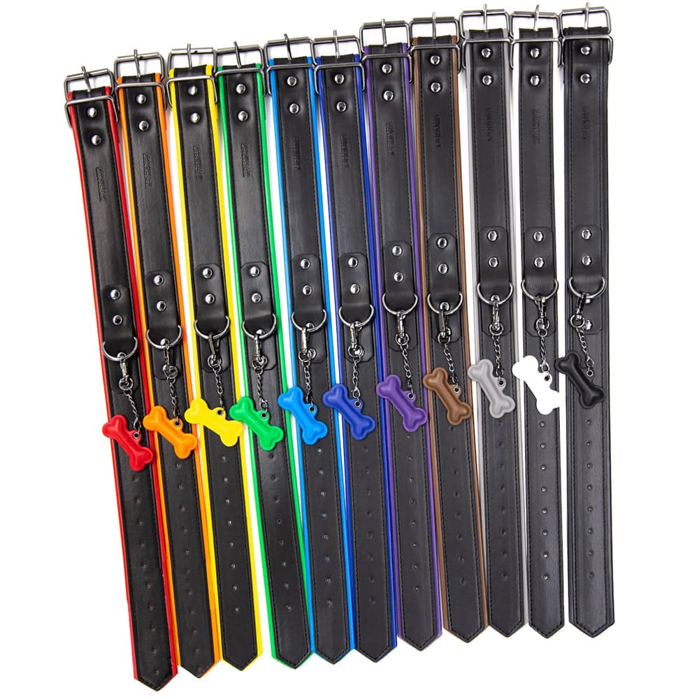 Leather-Puppy-Collar