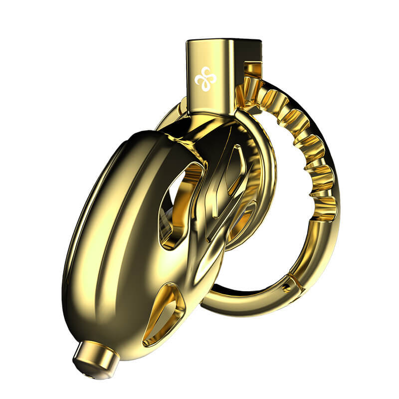 Dragon Guard - Deluxe Locking Chastity Cage with Urethral Sounding - Aluminum Alloy