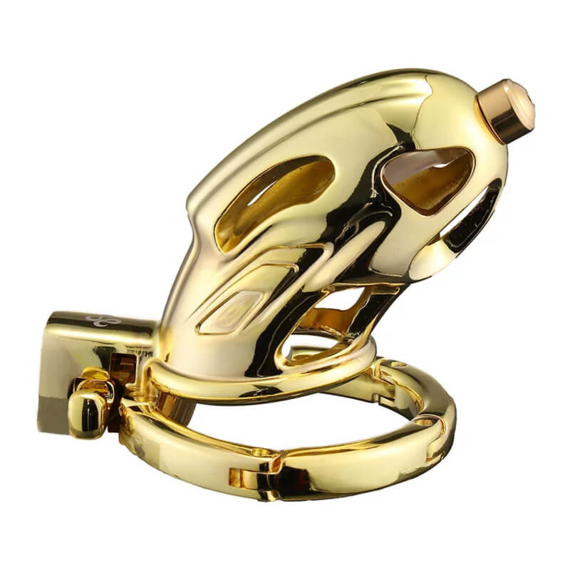 Dragon Guard - Deluxe Locking Chastity Cage with Urethral Sounding - Aluminum Alloy