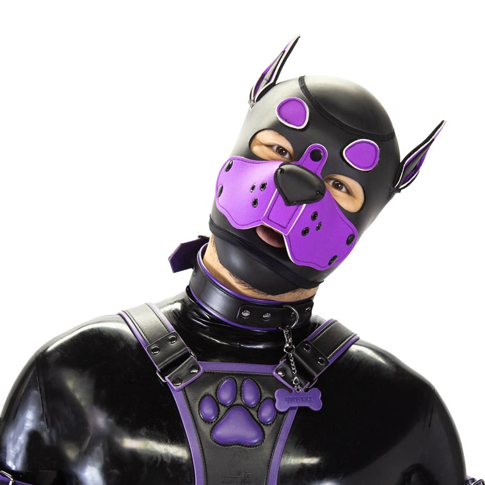 Standard-Neoprene-Puppy-Hood-3-in-1-eyebrows-within