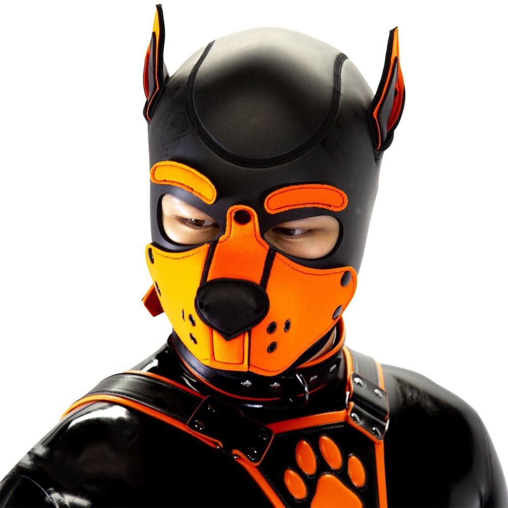 Standard-Neoprene-Puppy-Hood-3-in-1-eyebrows-within