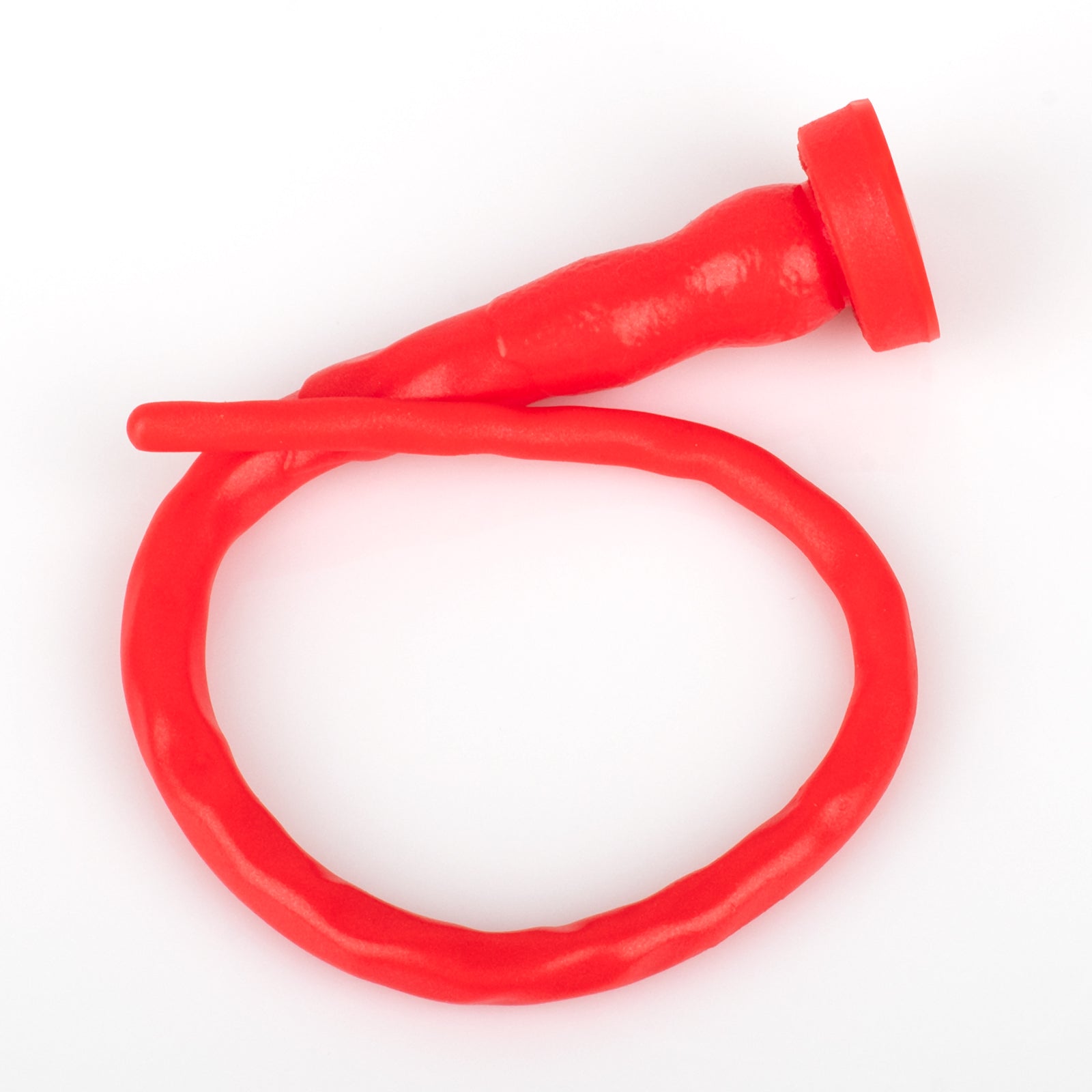 Nothosaurier-Harnrhre stock-Urethral-Klang Nothosaurier-Harnrhre stock-Urethral-Klang