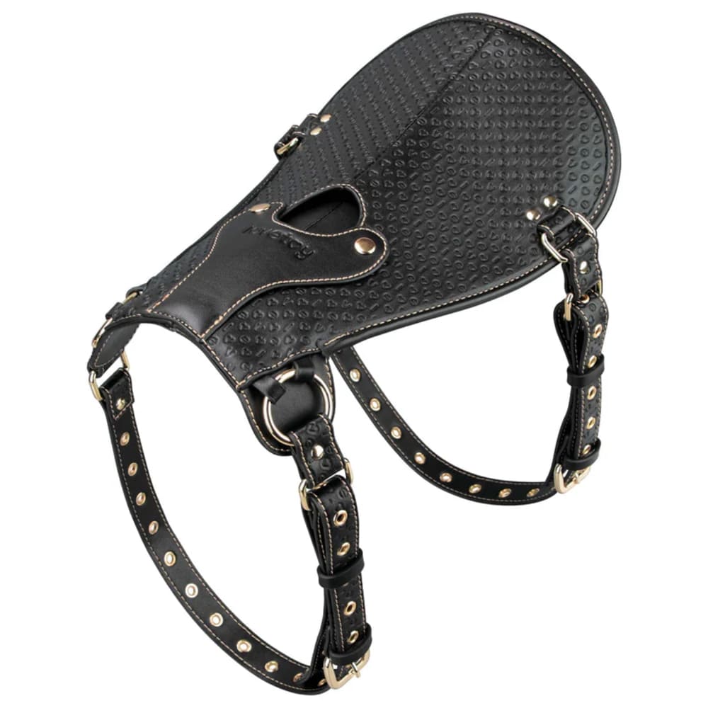 Rebellion-Reign-Leather-Strap-On-Harness-VersatileO-Ring-Mount_2