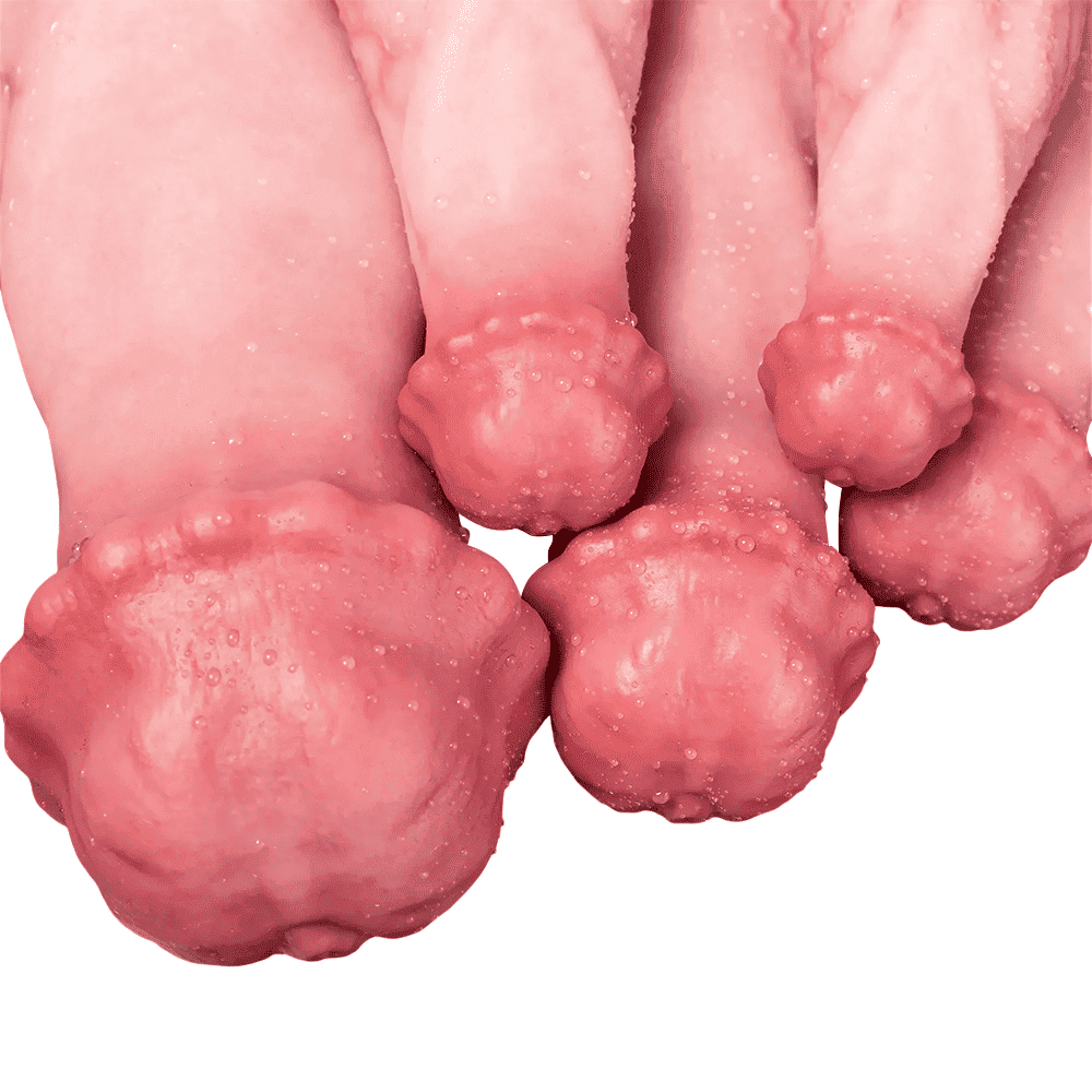 StrongBow-Silicone-Horse-Dildo-Animal-Dildo-6Sizes_7