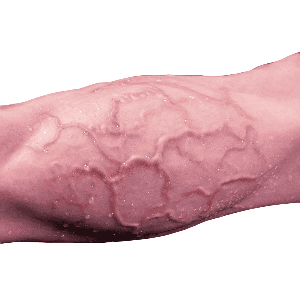 StrongBow - Silicone Horse Dildo - Animal Dildo -  6 Sizes