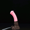 xomiy-chironax-inflatable-horse-dildo