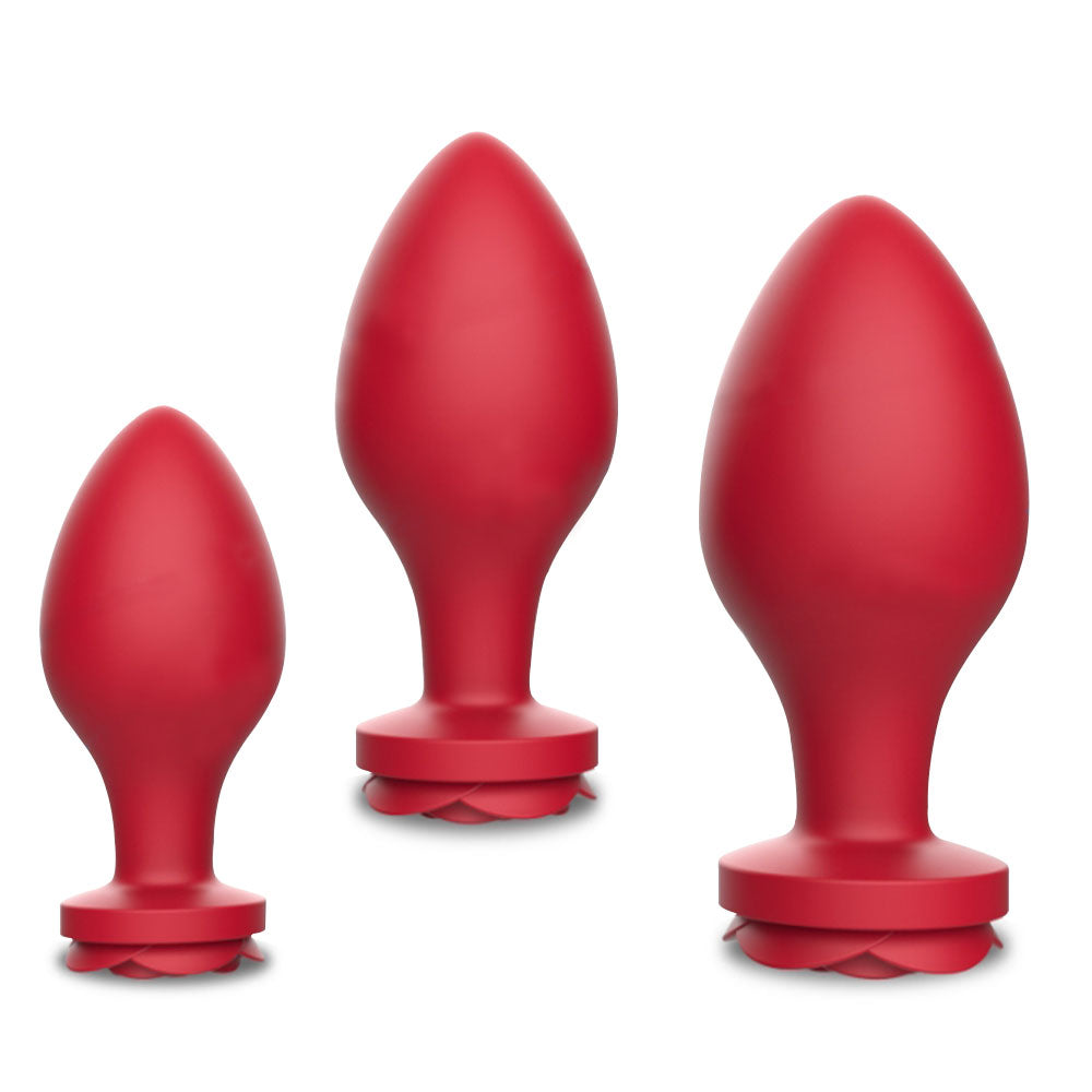 Rose - Silicone Anal Training Kit Rose - Silicone Anal Training Kit